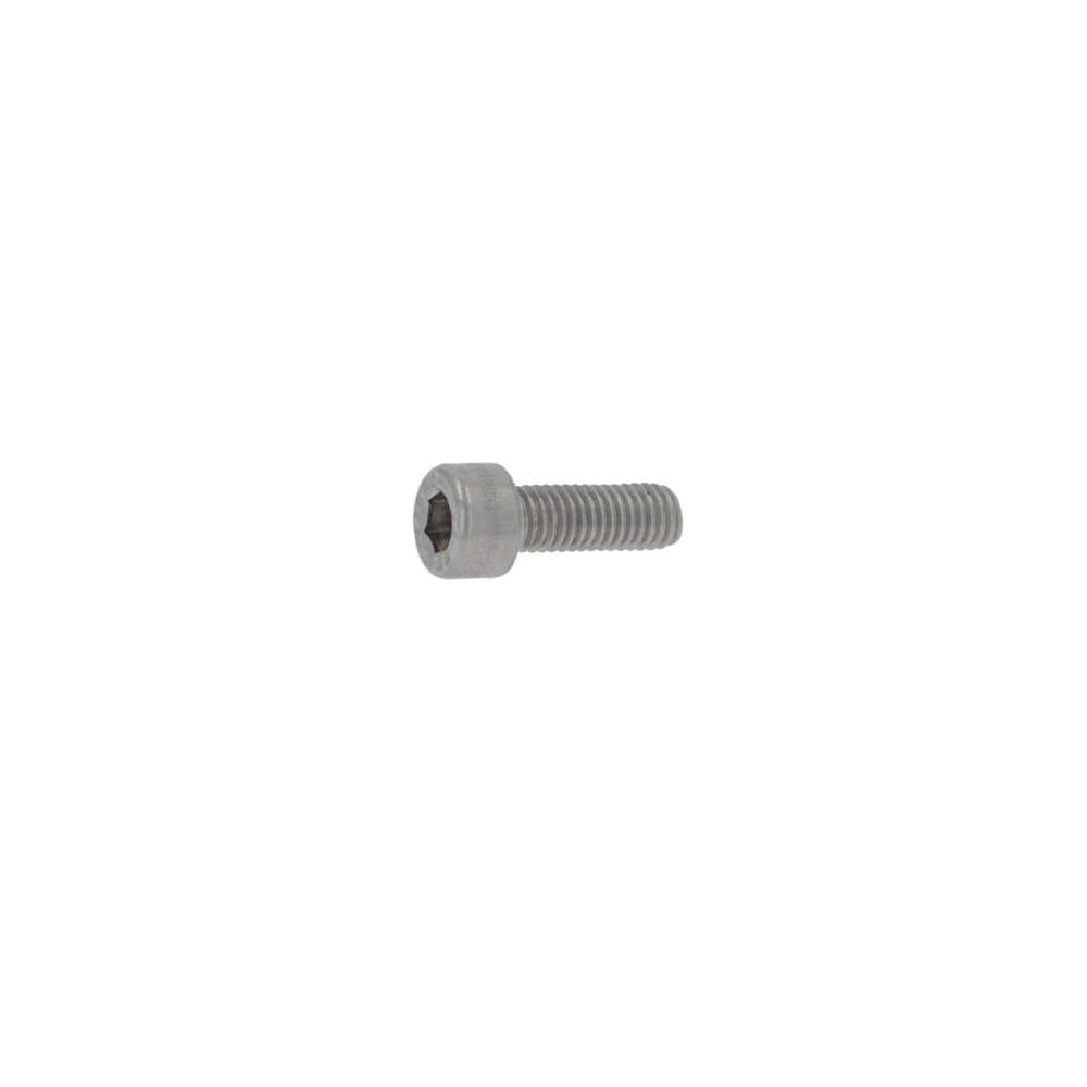 Bezzera Schraube M5 x 14 aus rostfreiem Edelstahl inox für Espressomaschinen