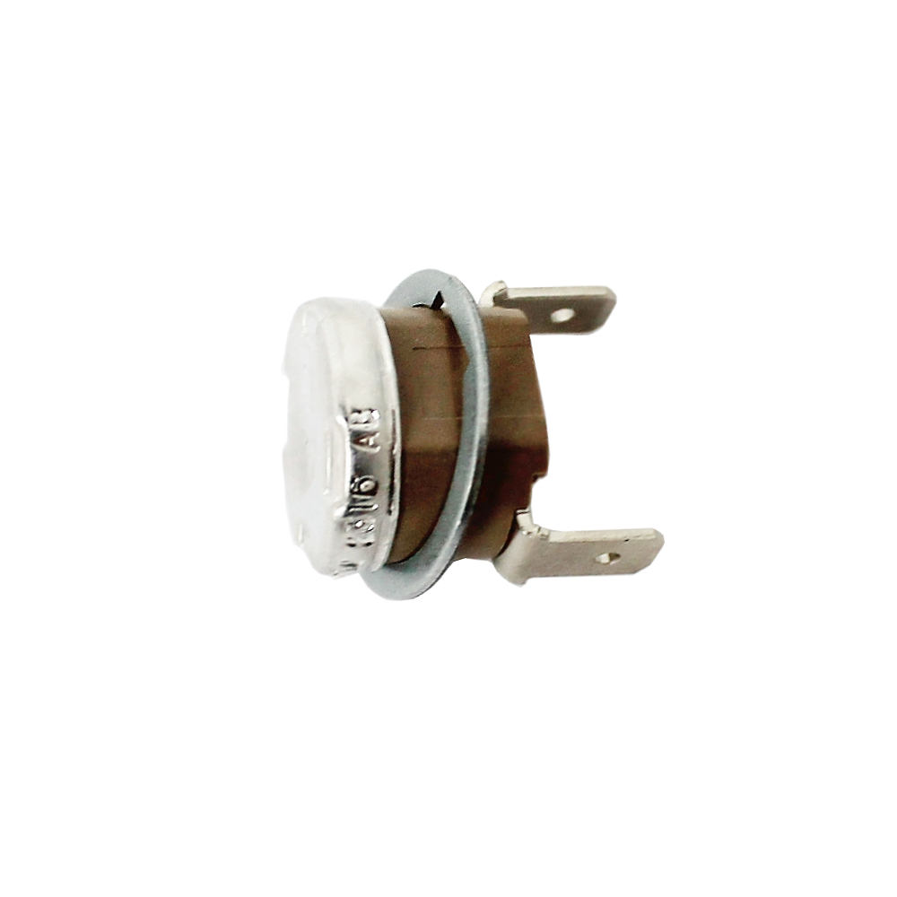 Gaggia Thermostat 95I Ersatzteil für Kaffeemaschinen RI8323 RI8423