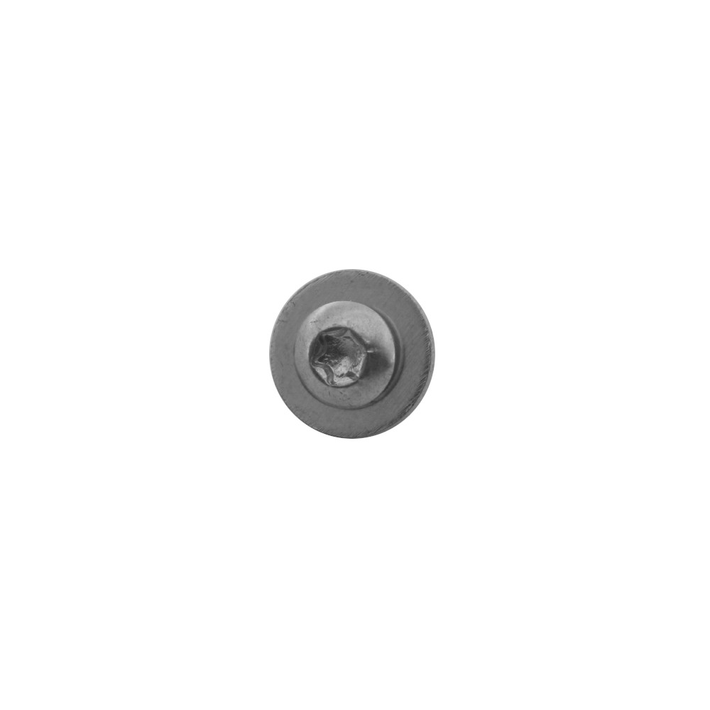 Jura Schraube M4 x 6 mm mit U-Scheibe für Giga Kaffeevollautomaten