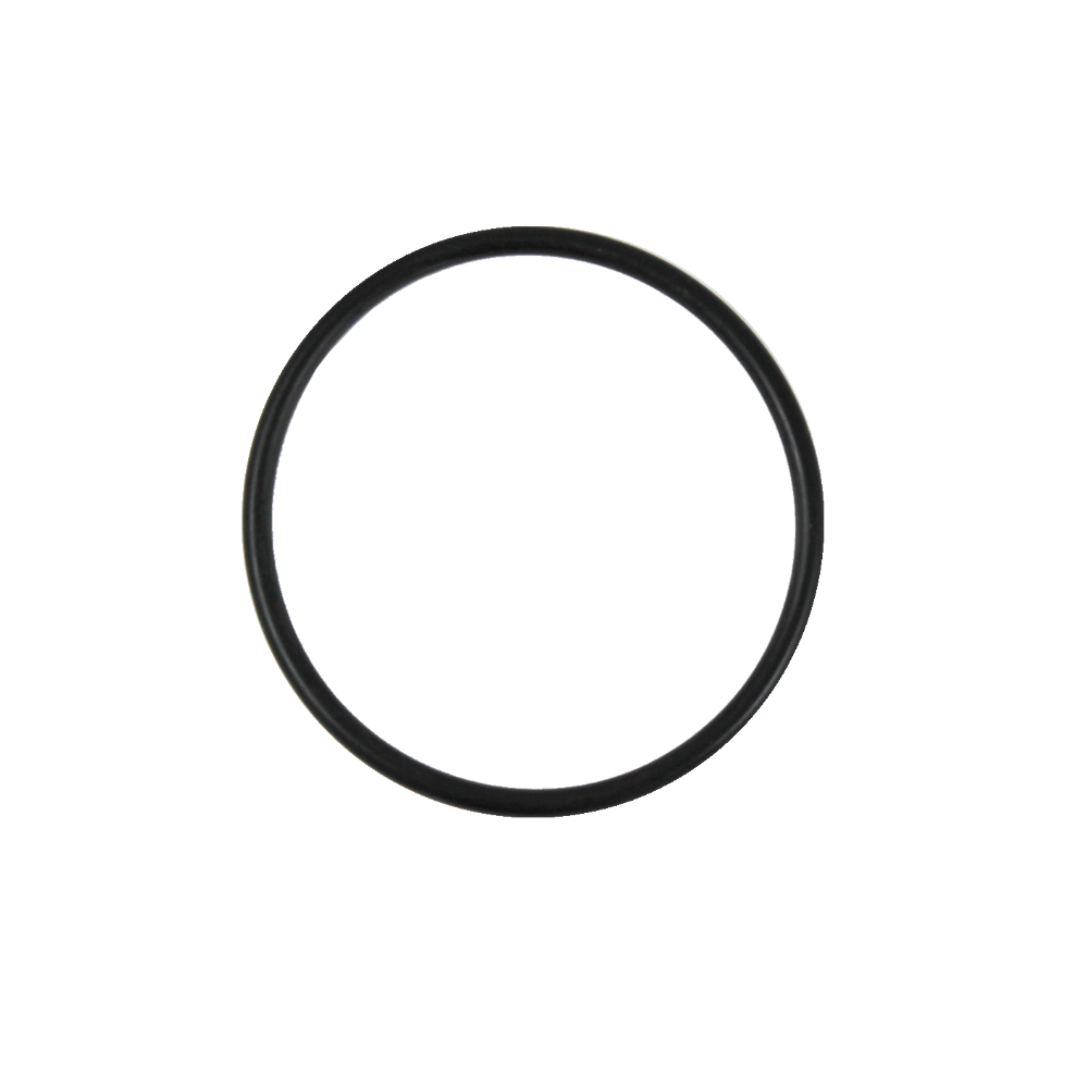 Gaggia O-Ring Dichtung 0167 EPDM Classic Kesseldichtung schwarz